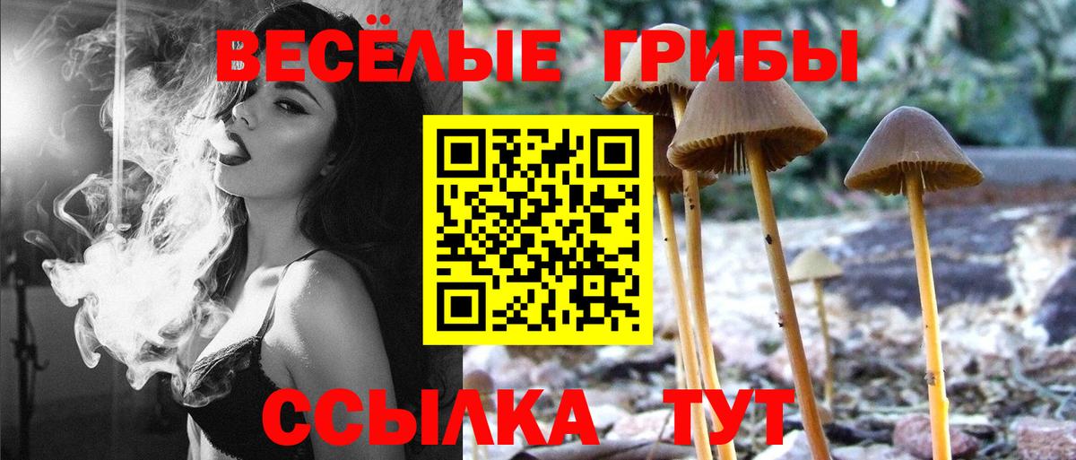 Псилоцибиновые грибы ЛСД  Вход с VPN  Павловский Посад 