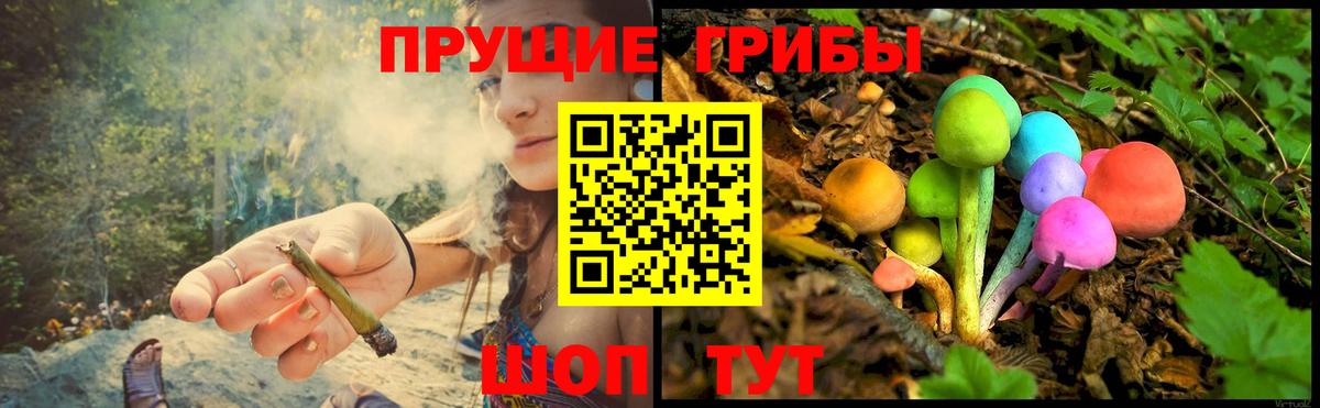 Галлюциногенные грибы ЛСД Павловский Посад